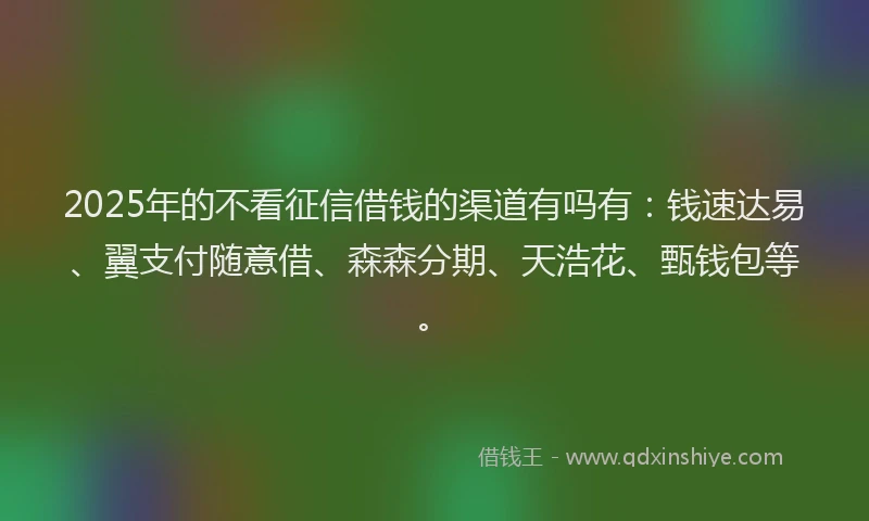 2025年的不看征信借钱的渠道有吗有：钱速达易、翼支付随意借、森森分期、天浩花、甄钱包等。