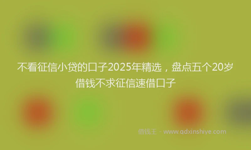 不看征信小贷的口子2025年精选，盘点五个20岁借钱不求征信速借口子
