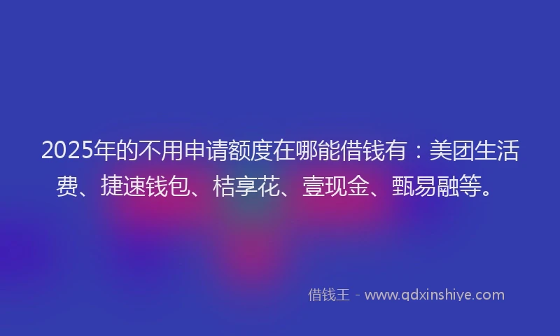 2025年的不用申请额度在哪能借钱有：美团生活费、捷速钱包、桔享花、壹现金、甄易融等。