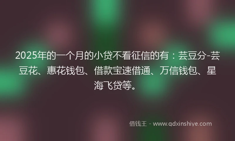 2025年的一个月的小贷不看征信的有：芸豆分-芸豆花、惠花钱包、借款宝速借通、万信钱包、星海飞贷等。