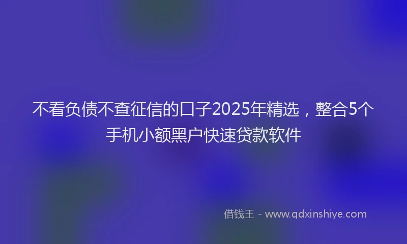 不看负债不查征信的口子2025年精选，整合5个手机小额黑户快速贷款软件