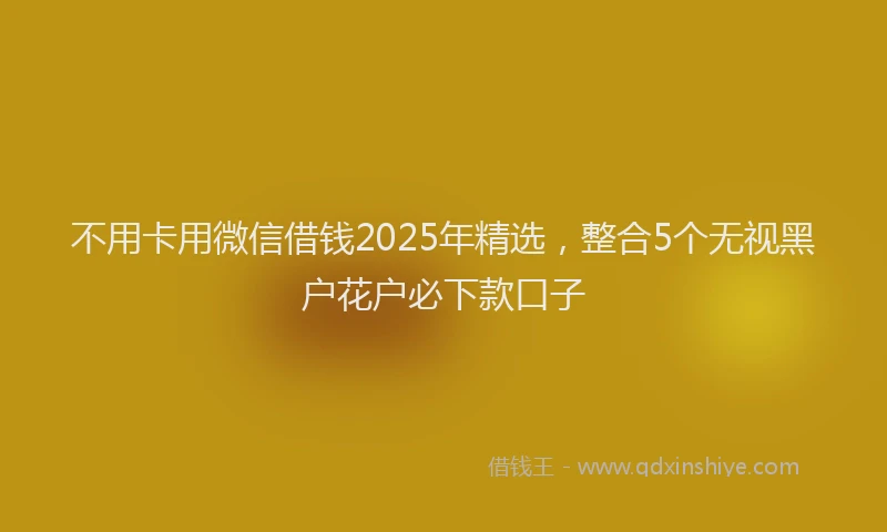不用卡用微信借钱2025年精选，整合5个无视黑户花户必下款口子