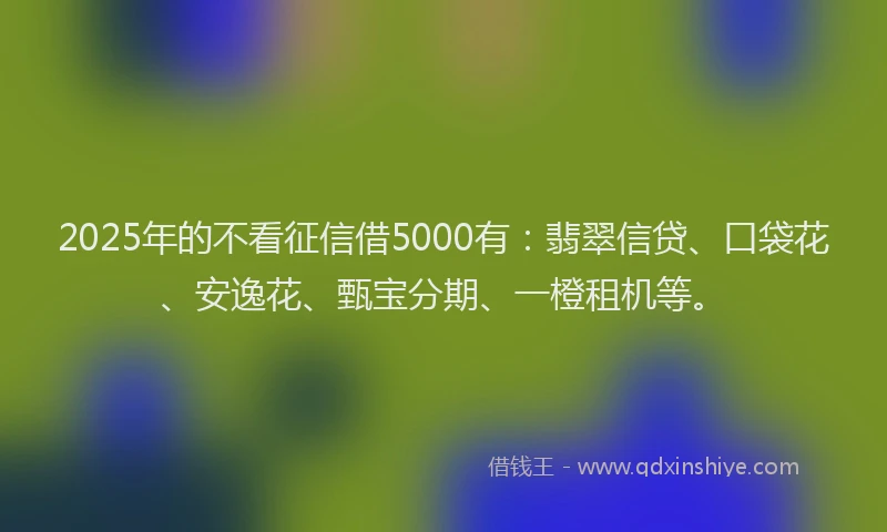 2025年的不看征信借5000有：翡翠信贷、口袋花、安逸花、甄宝分期、一橙租机等。