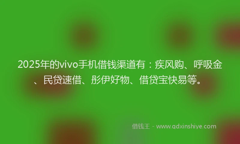 2025年的vivo手机借钱渠道有：疾风购、呼吸金、民贷速借、彤伊好物、借贷宝快易等。