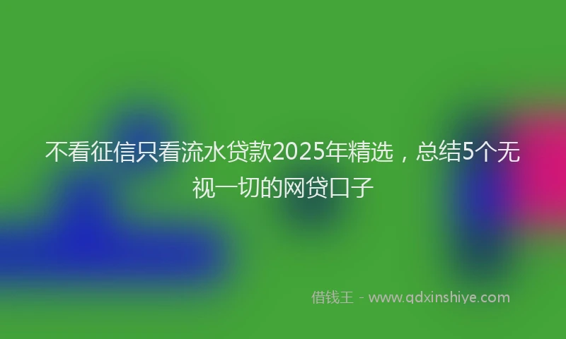 不看征信只看流水贷款2025年精选，总结5个无视一切的网贷口子