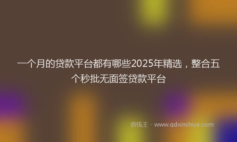 一个月的贷款平台都有哪些2025年精选，整合五个秒批无面签贷款平台