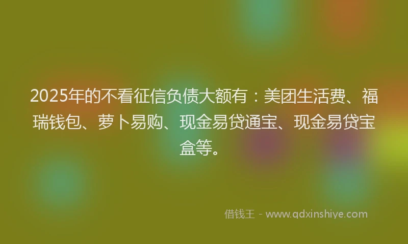 2025年的不看征信负债大额有：美团生活费、福瑞钱包、萝卜易购、现金易贷通宝、现金易贷宝盒等。