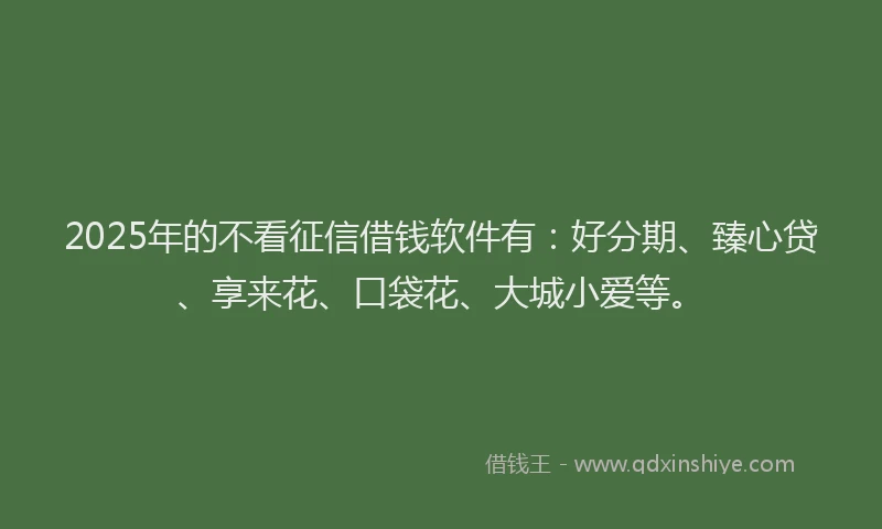 2025年的不看征信借钱软件有：好分期、臻心贷、享来花、口袋花、大城小爱等。