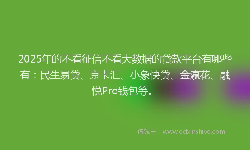 2025年的不看征信不看大数据的贷款平台有哪些有：民生易贷、京卡汇、小象快贷、金瀛花、融悦Pro钱包等。