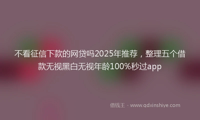 不看征信下款的网贷吗2025年推荐，整理五个借款无视黑白无视年龄100%秒过app