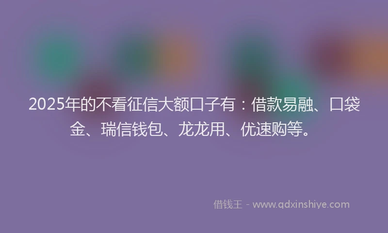 2025年的不看征信大额口子有：借款易融、口袋金、瑞信钱包、龙龙用、优速购等。