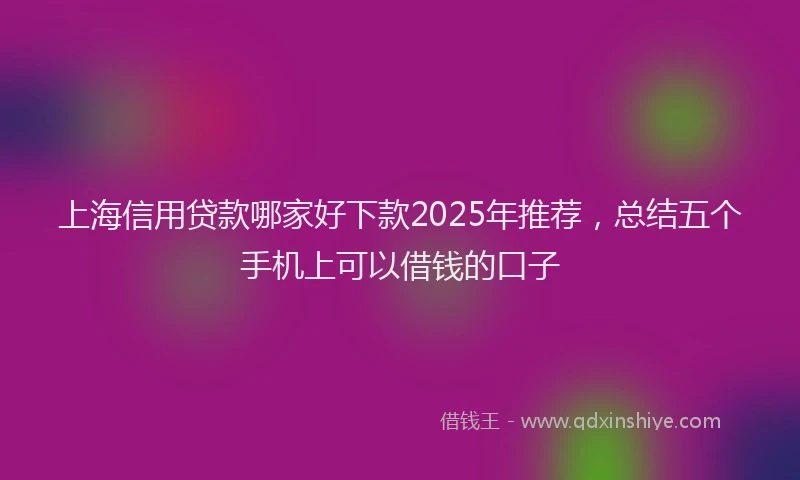 上海信用贷款哪家好下款2025年推荐，总结五个手机上可以借钱的口子