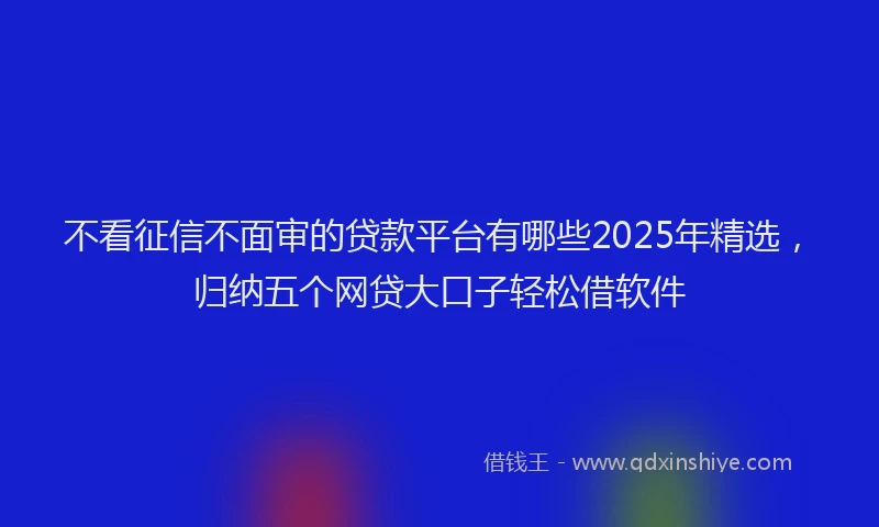 不看征信不面审的贷款平台有哪些2025年精选，归纳五个网贷大口子轻松借软件