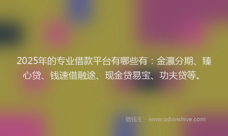 2025年的专业借款平台有哪些有：金瀛分期、臻心贷、钱速借融途、现金贷易宝、功夫贷等。