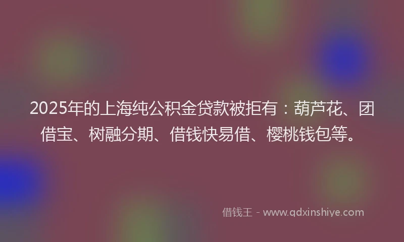 2025年的上海纯公积金贷款被拒有:葫芦花、团借宝、树融分期、借钱快易借、樱桃钱包等。