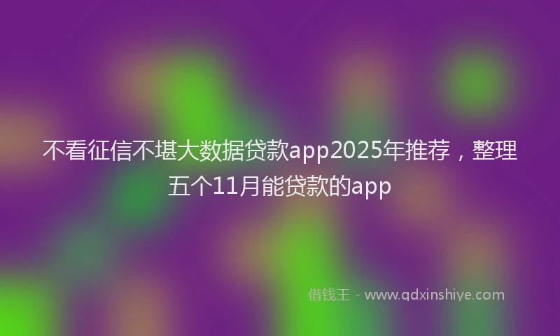 不看征信不堪大数据贷款app2025年推荐，整理五个11月能贷款的app