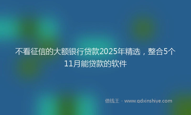 不看征信的大额银行贷款2025年精选，整合5个11月能贷款的软件