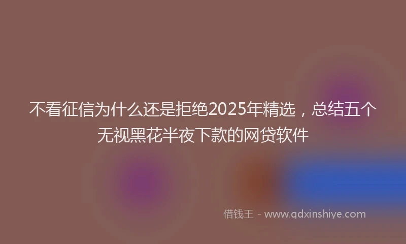 不看征信为什么还是拒绝2025年精选，总结五个无视黑花半夜下款的网贷软件