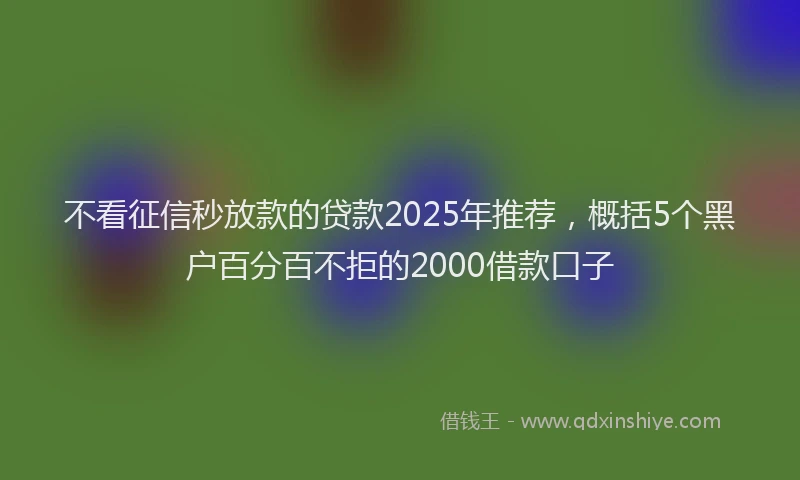 不看征信秒放款的贷款2025年推荐，概括5个黑户百分百不拒的2000借款口子