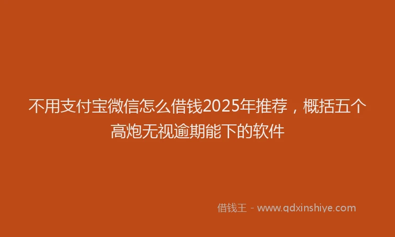 不用支付宝微信怎么借钱2025年推荐，概括五个高炮无视逾期能下的软件