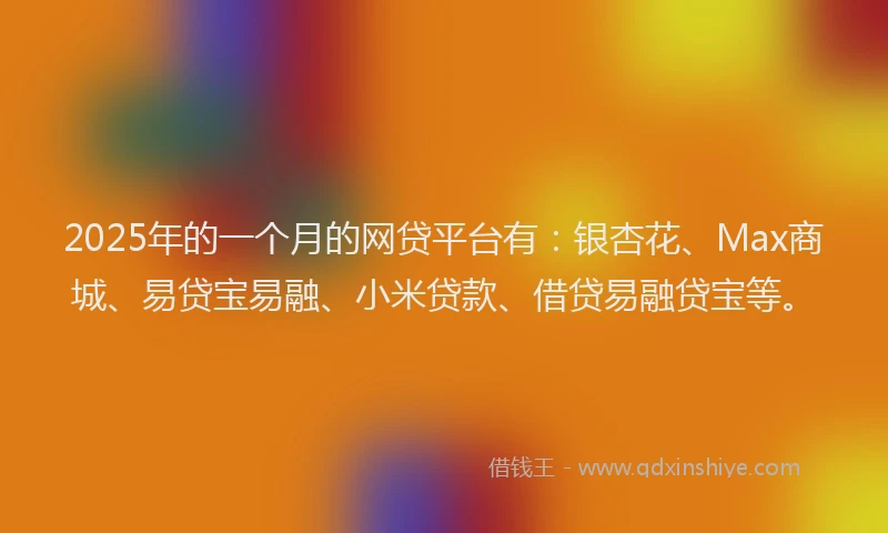 2025年的一个月的网贷平台有：银杏花、Max商城、易贷宝易融、小米贷款、借贷易融贷宝等。