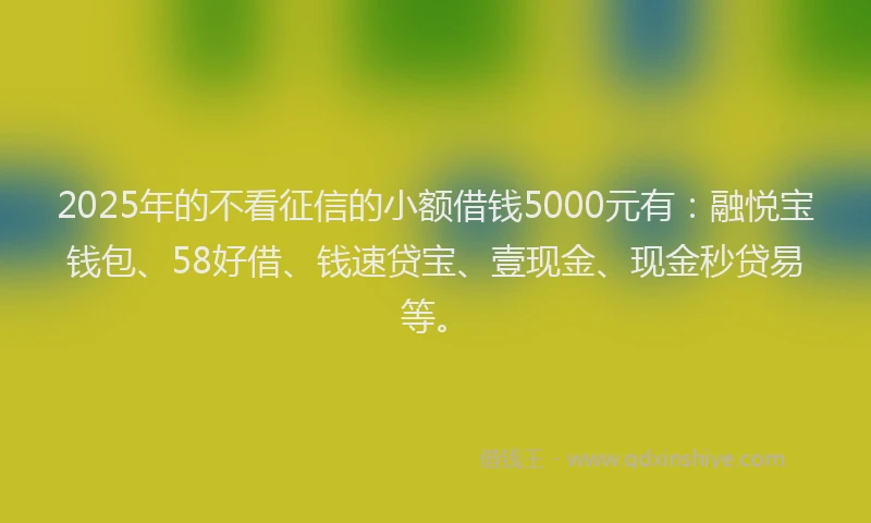2025年的不看征信的小额借钱5000元有：融悦宝钱包、58好借、钱速贷宝、壹现金、现金秒贷易等。
