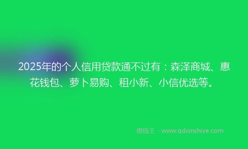 2025年的个人信用贷款通不过有：森泽商城、惠花钱包、萝卜易购、租小新、小信优选等。