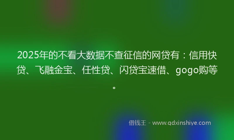 2025年的不看大数据不查征信的网贷有：信用快贷、飞融金宝、任性贷、闪贷宝速借、gogo购等。