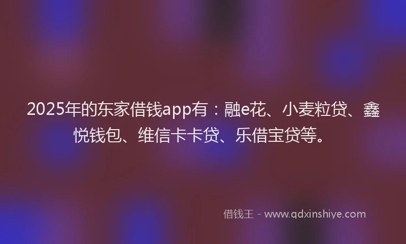 2025年的东家借钱app有：融e花、小麦粒贷、鑫悦钱包、维信卡卡贷、乐借宝贷等。