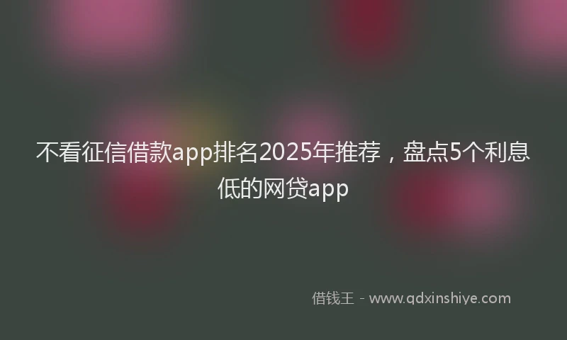 不看征信借款app排名2025年推荐，盘点5个利息低的网贷app