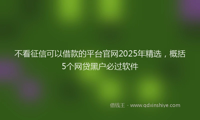 不看征信可以借款的平台官网2025年精选，概括5个网贷黑户必过软件