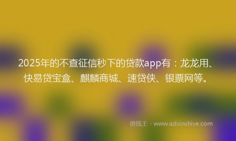 2025年的不查征信秒下的贷款app有：龙龙用、快易贷宝盒、麒麟商城、速贷侠、银票网等。
