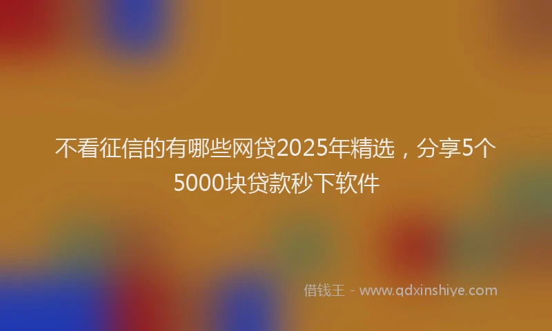 不看征信的有哪些网贷2025年精选，分享5个5000块贷款秒下软件