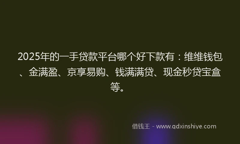 2025年的一手贷款平台哪个好下款有：维维钱包、金满盈、京享易购、钱满满贷、现金秒贷宝盒等。