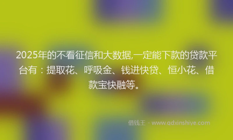 2025年的不看征信和大数据,一定能下款的贷款平台有：提取花、呼吸金、钱进快贷、恒小花、借款宝快融等。