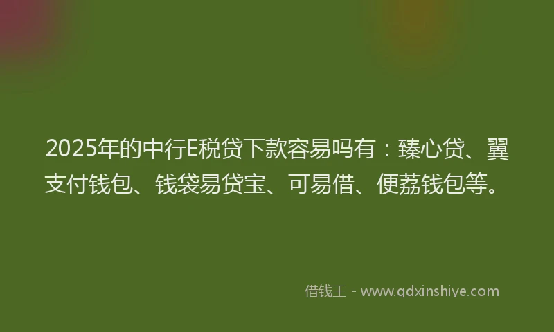 2025年的中行E税贷下款容易吗有：臻心贷、翼支付钱包、钱袋易贷宝、可易借、便荔钱包等。