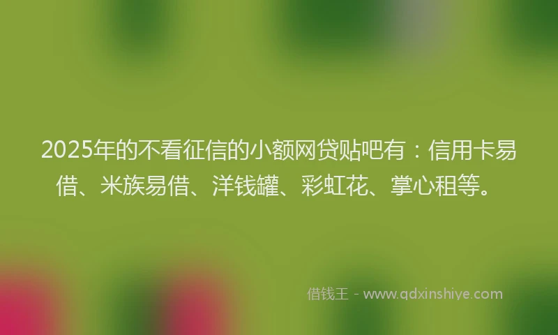 2025年的不看征信的小额网贷贴吧有：信用卡易借、米族易借、洋钱罐、彩虹花、掌心租等。