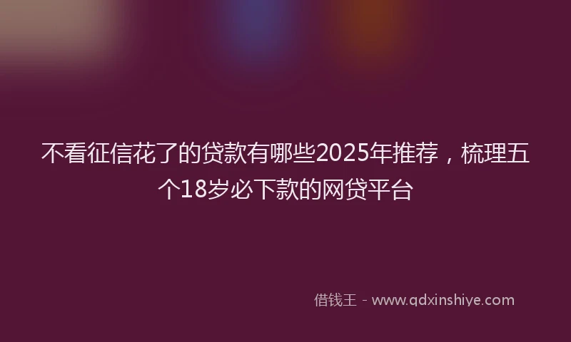 不看征信花了的贷款有哪些2025年推荐，梳理五个18岁必下款的网贷平台