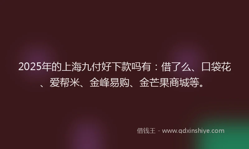 2025年的上海九付好下款吗有：借了么、口袋花、爱帮米、金峰易购、金芒果商城等。