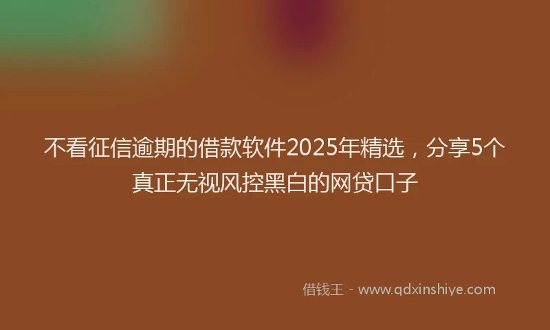 不看征信逾期的借款软件2025年精选，分享5个真正无视风控黑白的网贷口子