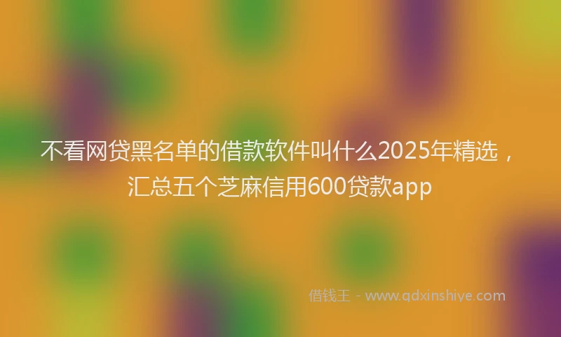 不看网贷黑名单的借款软件叫什么2025年精选，汇总五个芝麻信用600贷款app