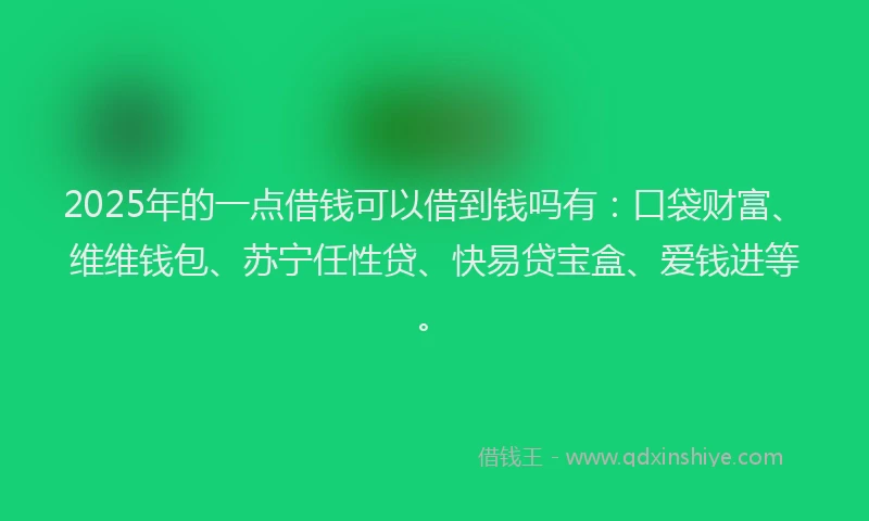 2025年的一点借钱可以借到钱吗有：口袋财富、维维钱包、苏宁任性贷、快易贷宝盒、爱钱进等。