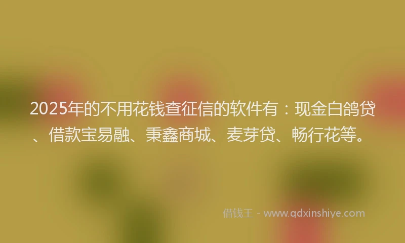 2025年的不用花钱查征信的软件有：现金白鸽贷、借款宝易融、秉鑫商城、麦芽贷、畅行花等。