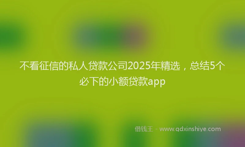 不看征信的私人贷款公司2025年精选，总结5个必下的小额贷款app