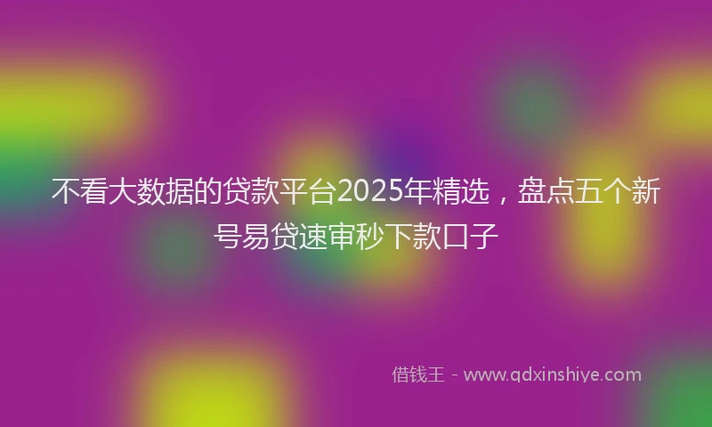 不看大数据的贷款平台2025年精选，盘点五个新号易贷速审秒下款口子