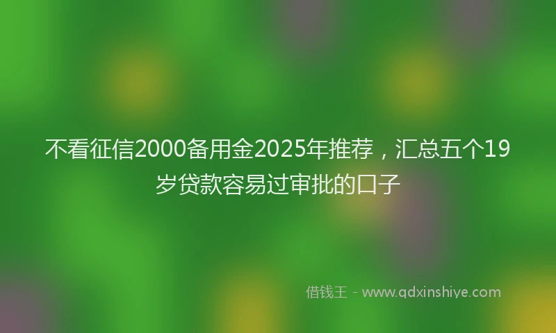 不看征信2000备用金2025年推荐，汇总五个19岁贷款容易过审批的口子