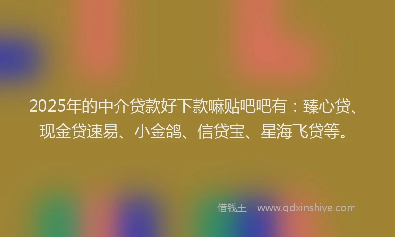 2025年的中介贷款好下款嘛贴吧吧有：臻心贷、现金贷速易、小金鸽、信贷宝、星海飞贷等。