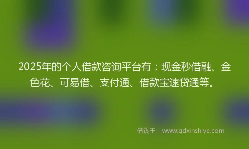 2025年的个人借款咨询平台有：现金秒借融、金色花、可易借、支付通、借款宝速贷通等。