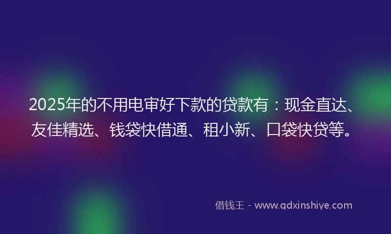 2025年的不用电审好下款的贷款有：现金直达、友佳精选、钱袋快借通、租小新、口袋快贷等。