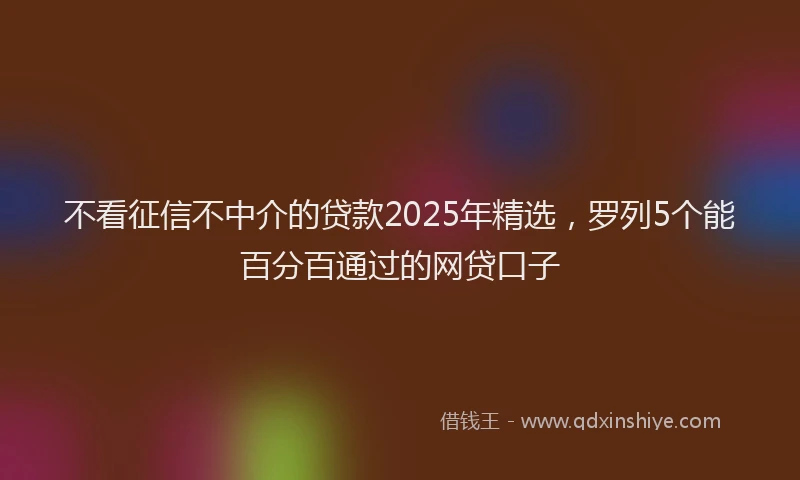 不看征信不中介的贷款2025年精选，罗列5个能百分百通过的网贷口子